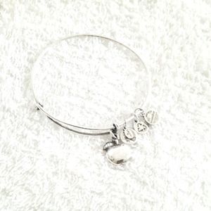 Alex And Ani APPLE OF ABUNDANCE Charms Bangle Bracelet are adjustable Size